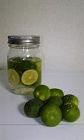 Citrus sudachi